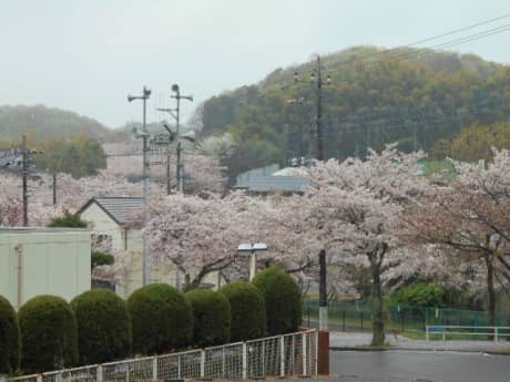 日野市新町M様邸　着工 | 塗装の話