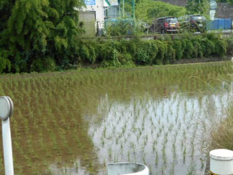 塗り替え工事　本日お見積りデー | 塗装の話