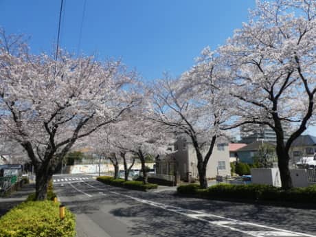 明日　7日（日）・8日（月）は定休日につきお休みさせていただきます　（町田市の外壁と屋根のことなら　ぺんき屋美装） | たわいない話