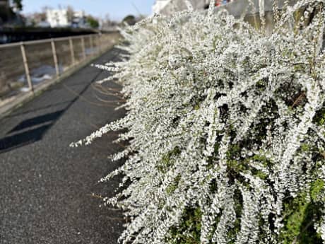 業者選びの新基準・・・明日　27日（日）・28日（月）は定休日につきお休みさせていただきます　（町田市の外壁と屋根のことなら　ぺんき屋美装） | たわいない話