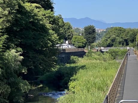 臨時休業のお知らせ・・7月30日（日）～8月1日（火）までお休みさせていただきます　（町田市の外壁と屋根のことなら　ぺんき屋美装） | たわいない話