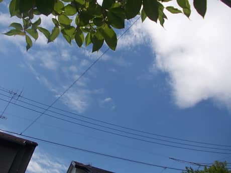 台風一過 | 塗装の話